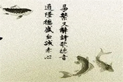 梦见别人喂猪把我家弄的很脏
